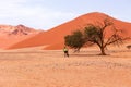 Back view of cyclist on his bicycle next to a camel thorn tree in a desert landscape