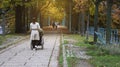 Back view of daughter with disabled grandfather in wheelchair at Autumn trees park