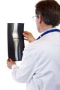 Back view of a doctor studying knee x-ray. Royalty Free Stock Photo