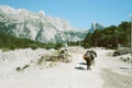 Back view of donkey carrying heavy loads in Theth National Park in Albania