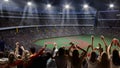 Back view of emotional people, football fans standing at crowded stadium during soccer match event in evening, cheering Royalty Free Stock Photo