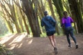 Back view of enthusiastic man and woman jogging in forest