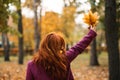 Back view faceless portrait of red-haired girl with fall leaves in hand. Autumn Portrait of happy woman Royalty Free Stock Photo