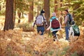 Back view of family hiking through forest, California, USA Royalty Free Stock Photo