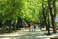 Back view of family of four walking streetÃÅ½ People having a rest in city park