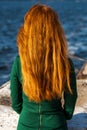 Back view female red-haired girl Royalty Free Stock Photo