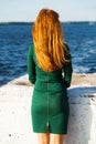 Back view female red-haired girl Royalty Free Stock Photo