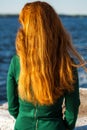 Back view female red-haired girl Royalty Free Stock Photo