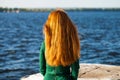 Back view female red-haired girl Royalty Free Stock Photo