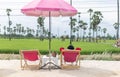 Back view of female sit for resting and waiting for time to take photos of the sunset on the farmer`s balcony in the rice fields Royalty Free Stock Photo