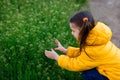 Back view. girl child in a yellow jacket and jeans squatted and picks a grassy plant Capsella bursa pastoris