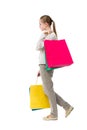 Back view of going woman with shopping bags Royalty Free Stock Photo