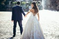 Back view of the groom leading the beautiful smiling brunette bride in the dress with the bare back along the sunny Royalty Free Stock Photo