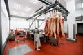 Back view of a group of worker in meat factory, chopped a fresh beef meat in pieces on work table, industry food. Royalty Free Stock Photo