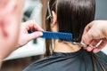 Hairdresser cutting hair of woman Royalty Free Stock Photo