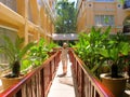 Back view happy girl in white summer clothes walks along alley in garden near hotel, spread her arms to sides - Phuket ,