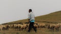 Back view of a herd of sheep with a shepherd in summer.4 August 2019 Xoshbulaq Azerbaijan
