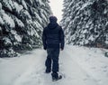 Back view with a hiker on a trail. Winter landscape with pine trees covered with snow in Carpathian Mountains, Romania Royalty Free Stock Photo