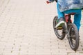 Back view on a kid boy riding on a small bicycle in the park. Child on the bike on asphalt road. Children activities