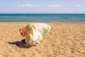 Back view of lonely Muslim woman  traveler in a colorful headscarf, scarf sitting on the sand on the beach and looking on the sea. Royalty Free Stock Photo