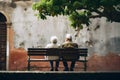 Back view of senior couple sitting on bench in the park Royalty Free Stock Photo