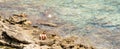 Back view of a male child sitting on rocks near the sea Royalty Free Stock Photo