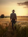 Back view of a male mid-aged farmer standing in the field. Man in jeans, shirt and hat looks at the ripe wheat at sunset. Royalty Free Stock Photo