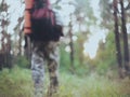 Back view of man with backpack walking through the green forest in the morning. Tourist mal in camouflage unionalls.