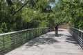 Back view man biking along nature boardwalk near downtown Austin