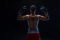 Back view of man boxer with raised hands in victory gesture. Concept of hard sport, glory and success.