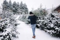 Back view of man carries Christmas tree to his home. Man buy fir tree and take in to the car. Winter mood Royalty Free Stock Photo