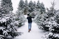 Back view of man carries Christmas tree to his home. Man buy fir tree and take in to the car. Winter mood Royalty Free Stock Photo