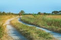 Back view of man running and exercising on the path through the rice fields Royalty Free Stock Photo