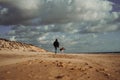 Back view of a man walking with his dog along the sandy beach Royalty Free Stock Photo