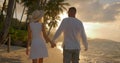 Back view of a man and a woman walking hand in hand along the sandy beach enjoying tropical evening