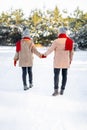 Back view of man and woman walking by winter forest Royalty Free Stock Photo