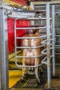 Back view. Milking the cows with a fully automated milking robot Royalty Free Stock Photo