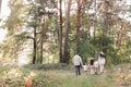 Back view of mother, father with three kids are walking, having fun in autumn forest. Family holding children hands Royalty Free Stock Photo