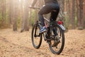 Back view of mountain biker riding on bike in autumn inspirational forest landscape, guy cycling MTB on enduro trail track, male Royalty Free Stock Photo