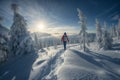 Back view of mountaineer ski waling on a snow-covered mountainside, surrounded by a serene winter landscape. The image captures Royalty Free Stock Photo