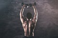 Back view of muscled man exercises with dumbbells Royalty Free Stock Photo