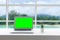 Back view of Open laptop placed on white desktop with decorative plant, on green monitor. Blurry sea view on background