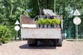 Back view of open truck body delivering from nursery plants and flowers seedlings for gardening at city park or garden. Lanscaping Royalty Free Stock Photo