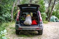 Back view of opened car trunk packed full of luggage bags in nature camp d