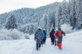 Back view of persons walking in beautiful winter mountain forest