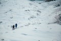 Back view of persons walking in beautiful winter mountain forest