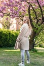 Back view portrait of blonde girl against background of sakura blossoms tree. Young beautiful woman walking in spring blooming Royalty Free Stock Photo