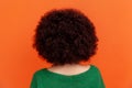 Back view portrait of woman with Afro hairstyle wearing green casual style sweater showing her Royalty Free Stock Photo