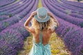 Back view of pretty tourist female agains a purple lavender field in europe travel scenic destination. Flowers fragrance and Royalty Free Stock Photo