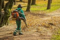 Back view of a public worker using leaf blower to clean path in a park from fallen leaves. Autumn scene in park Royalty Free Stock Photo